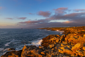 Landscape near Pointe de Landunvez, Landunvez, Finistere, Brittany, France - 786487564