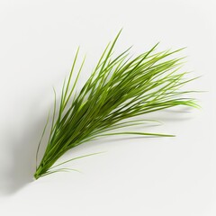 Grass - 3d model - preview no 1.