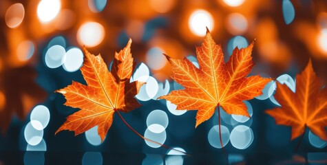 Background featuring beautiful orange-red autumn leaves. - obrazy, fototapety, plakaty