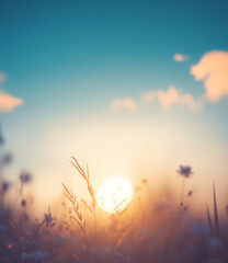 A blurred background of the setting sun over an open field, with rays piercing through tall grasses and small plants, creating a soft bokeh effect that adds depth to the scene.