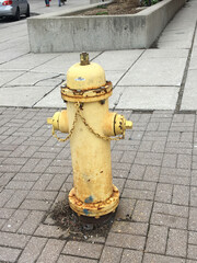 Fire hydrant yellow color, in the city, public safety equipment, supply of water for fighting fire