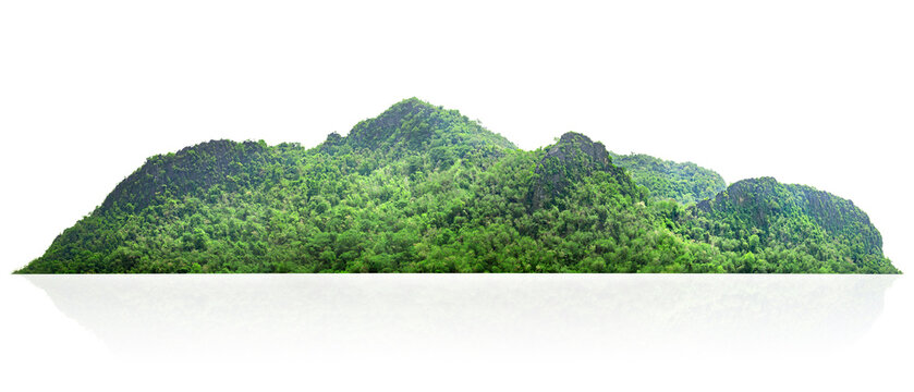 mountain range with lush green trees isolate on white background