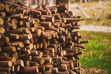 Woodland Lumber Awaits Collection