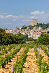 Typical vineyard with stones near Chateauneuf-du-Pape, Cotes du Rhone, France - 786497385