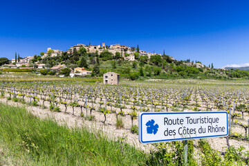Typical vineyard with Wine road (Route Touristique des Cotes du Rhone) near Faucon, Cotes du Rhone, France - obrazy, fototapety, plakaty