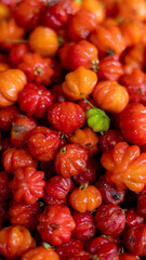 Cayenne cherry, pitanga, goździkowiec jedno kwiatowy, Madera