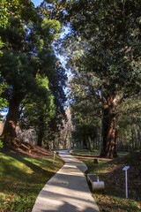 Walking path in Shekvetili park, Georgia