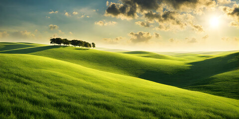 Landscape embracing sunny minimalism