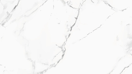panoramic white background from marble stone texture for design