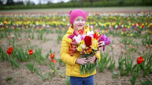 Adorable preschooler girl picking beautiful tulip flowers on farm. Outdoor summer activities for little kids.