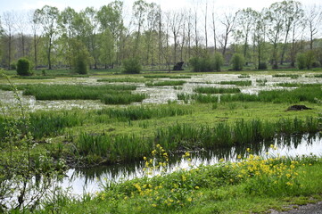 Marais Poitevin à vélo