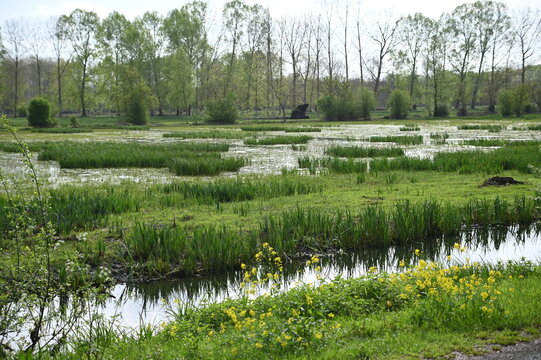Marais Poitevin &agrave; v&eacute;lo