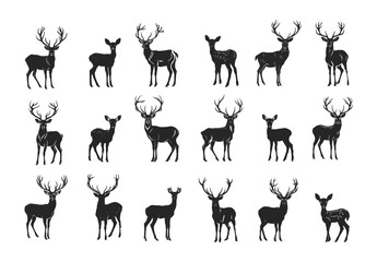 Deer black silhouettes vector set. Herbivorous hoofed spotted forest species elegant nature symbol free creature animal, illustrations isolated on white background - obrazy, fototapety, plakaty