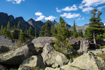 Cedars grow on the rocks, large granite boulders in the foreground.