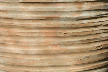 Terracotta pot detail