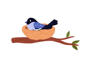 Blue chick hatches eggs in the nest on the tree branch, cute bird family house, vector cartoon nature wildlife, nestling © Kudryavtsev
