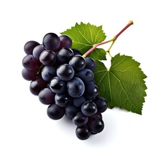Black grapes with leaf fruit on white background