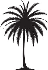 Fototapeta premium Palm Tree Silhouette Vector