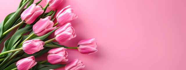 Bouquet of pink tulips on pink background. Mother's day background.