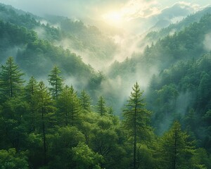 Lush forest hillside at dawn, mist weaving through the trees
