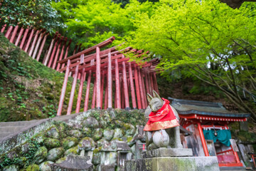 Fox statue in front of red wood gates of Yutoku Inari Shrine at spring, Kashima, Saga, Japan. Here...