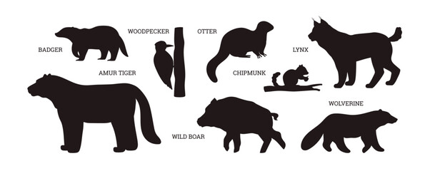 Fototapeta premium Taiga animals silhouette with names set of vector illustrations