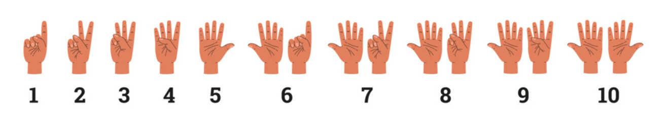 Hands count and show numbers with fingers, flat vector illustration isolated.