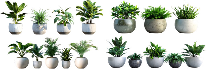 png, 17 transparent background indoor plants, decorative plants in pots. green leafy plants for indoor decoration - obrazy, fototapety, plakaty