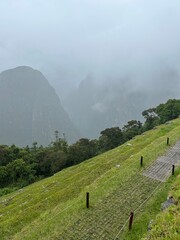 Machu Picchu - obrazy, fototapety, plakaty