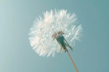  A dandelion seed floating on the wind, viewed closely, against a light blue background, in macro photographic style © Eugenia Sh
