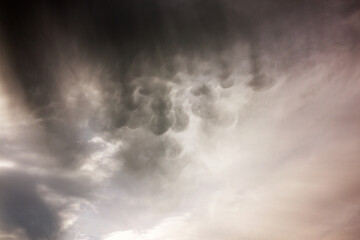 Mammatus clouds, cotton wool clouds that form at the base of cumulonimbus, cirrus, altocumulus and even volcanic ash clouds. Textured background - obrazy, fototapety, plakaty