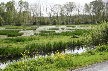Marais Poitevin à vélo