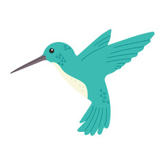Vector illustration of a cute cartoon hummingbird. Doodle bird