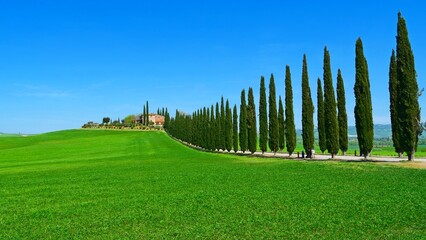 Obraz premium landscape of the Poggio Covilli farmhouse immersed in the greenery of the Val d'Orcia in Siena, Tuscany, Italy