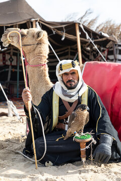 Bedouin with his camel and falcon resting in the desert