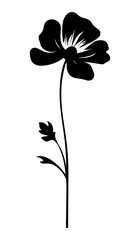PNG  Flower silhouette plant white.