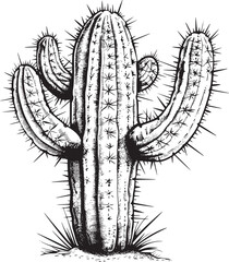Vector outline cactus in pot