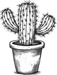 Vector outline cactus in pot