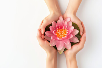 Two pairs of female hands hold delicate pink lotus flower, symbolizing purity and enlightenment. Concept of peace and deep connection with nature. Great for relaxation, skin care or wellness themes