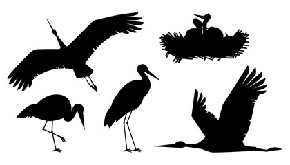 Obraz premium Silhouette stork set in flight and nesting vector illustration against white background