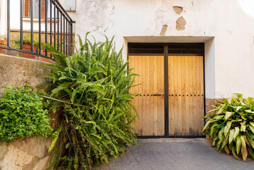 Fototapeta na wymiar Wooden garage door among potted green plants in a