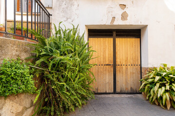Wooden garage door among potted green plants in a