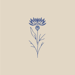 Vector flower Illustration of a flowering branch of a plant in a flat style.