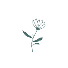 Vector flower Illustration of a flowering branch of a plant in a flat style.