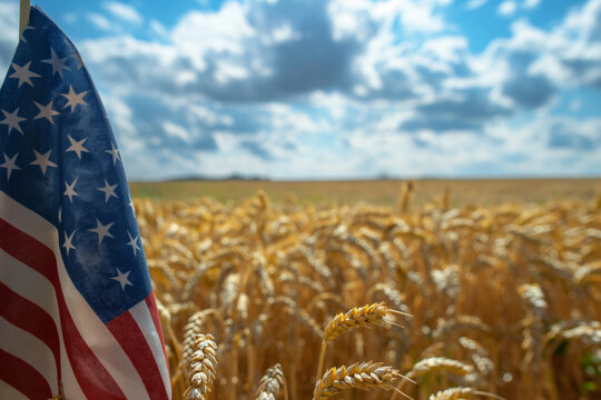 An American flag in the foreground with a backdrop of a golden wheat field ready for harvest, symbolizing the nation's bountiful resources and hardworking spirit, patriotic, with c