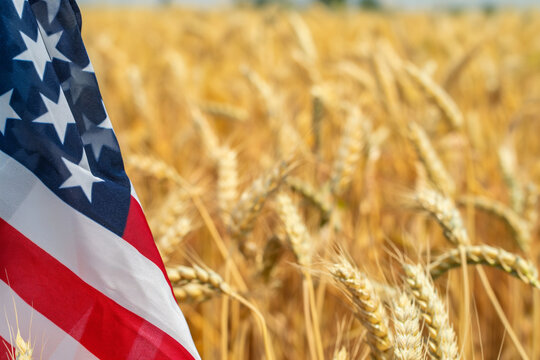 An American flag in the foreground with a backdrop of a golden wheat field ready for harvest, symbolizing the nation's bountiful resources and hardworking spirit, patriotic, with c