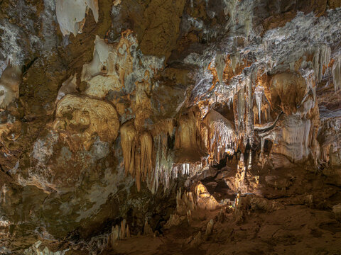 Karstic cavity originated by a series of geological processes, makes it a unique cavity, with a stable temperature of 17&ordm; C all year round and a humidity of 95%.