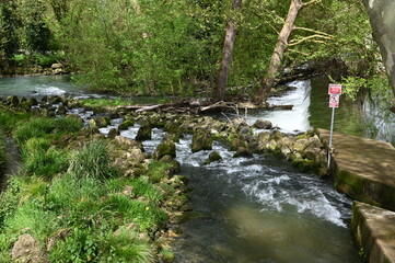 Marais Poitevin à vélo