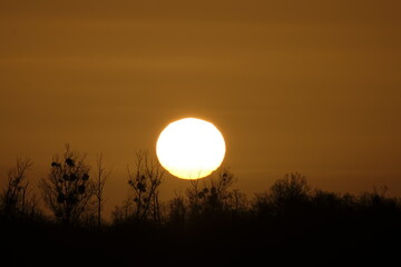 Sonnenaufgang am 17.03.2024