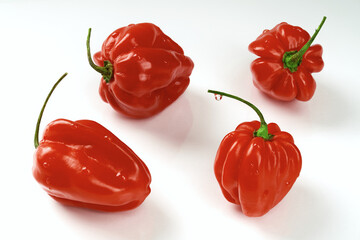 Mexican habanero peppers. Very detailed and sharp photography